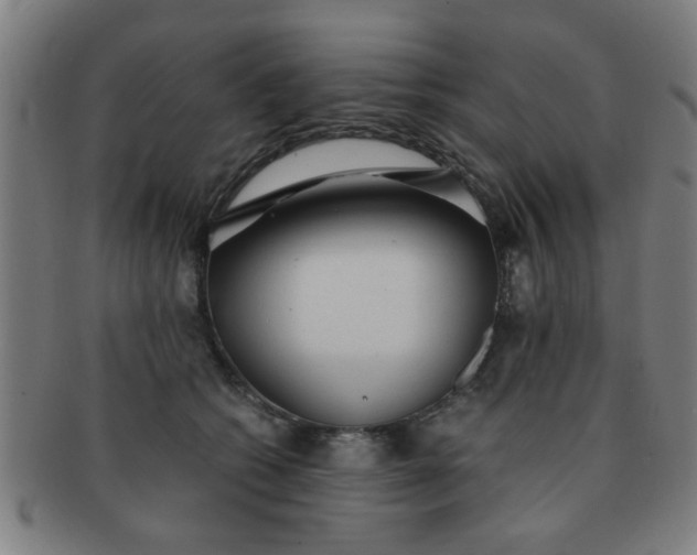 X0000091360562200708241313