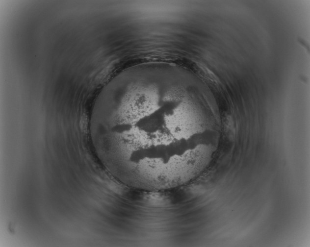X0000091360565200708241313
