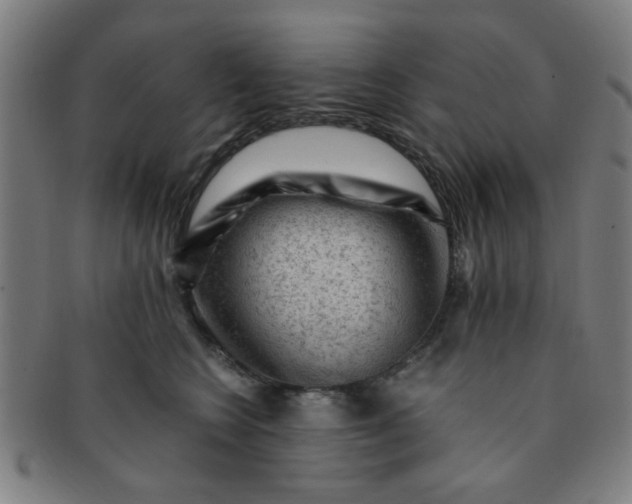 X0000091360566200708241313