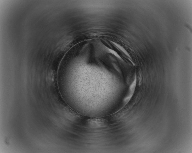 X0000091360567200708241313