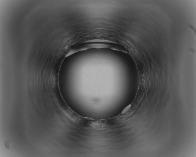 X0000091360568200708241313