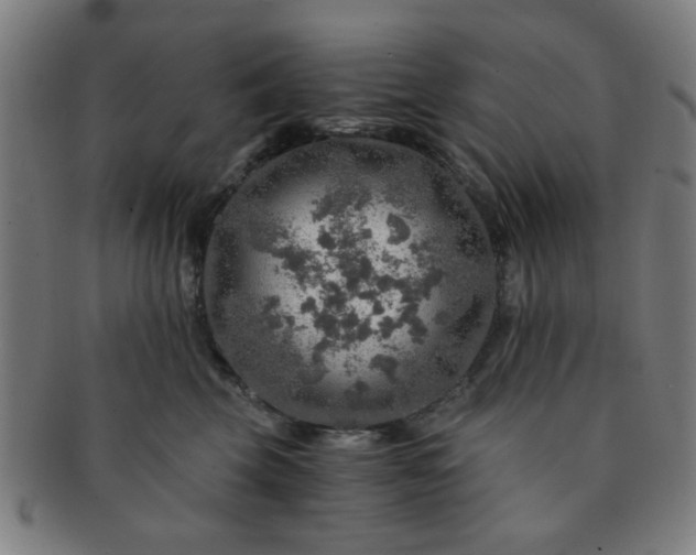 X0000091360569200708241313