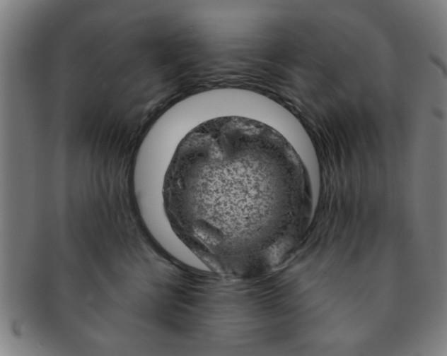 X0000091360570200708241313