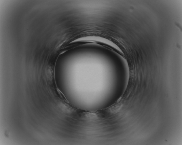 X0000091360572200708241313
