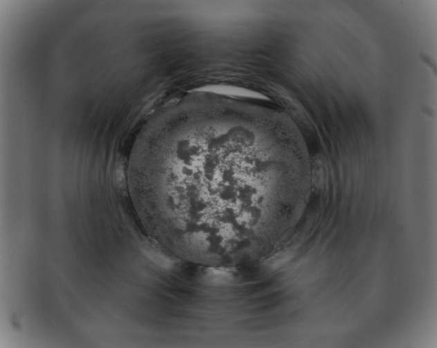 X0000091360573200708241313