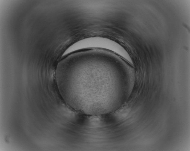 X0000091360574200708241313