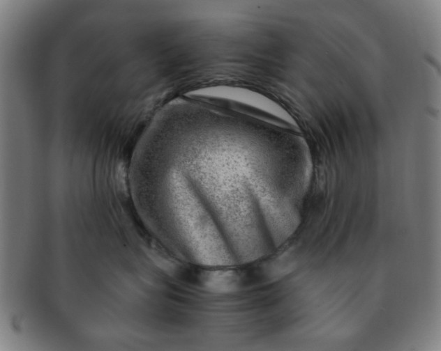 X0000091360575200708241313