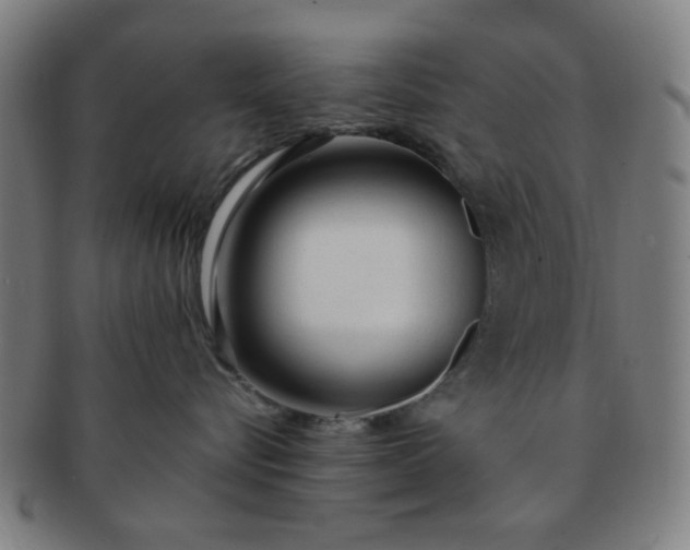 X0000091360576200708241313