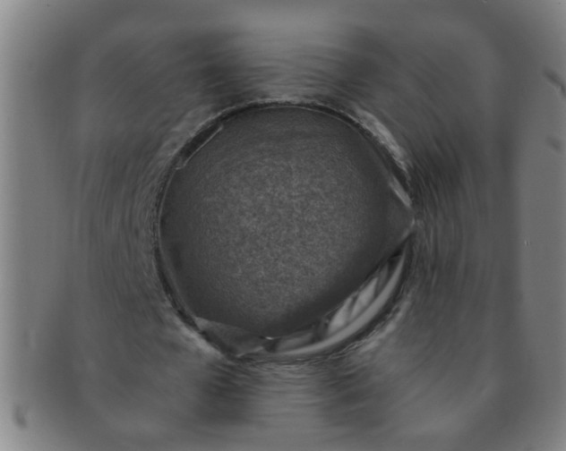 X0000091360577200708241312