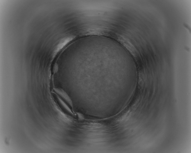 X0000091360578200708241312