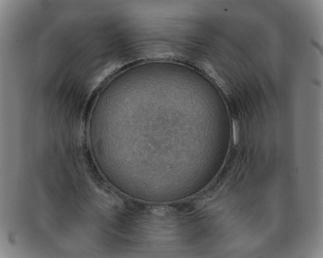 X0000091360579200708241312