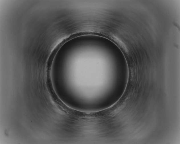 X0000091360580200708241312