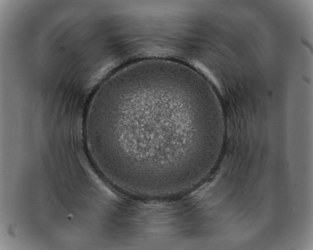 X0000091360581200708241312