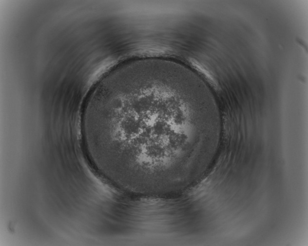 X0000091360582200708241312