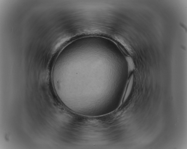 X0000091360583200708241312