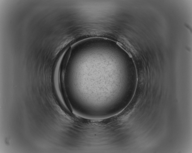 X0000091360585200708241312