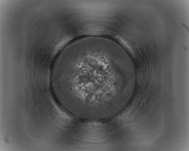 X0000091360586200708241312