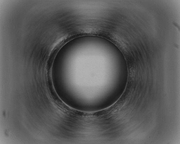 X0000091360587200708241312