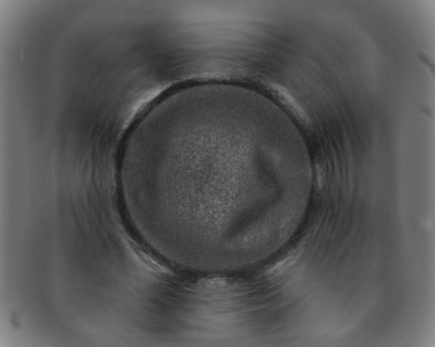 X0000091360588200708241312