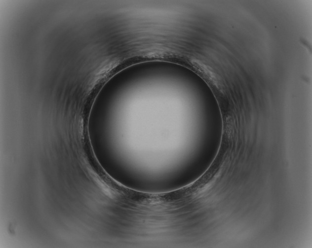 X0000091360589200708241312