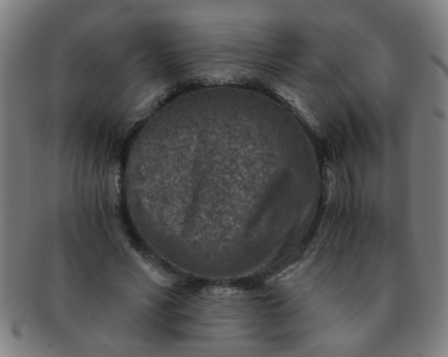 X0000091360590200708241312