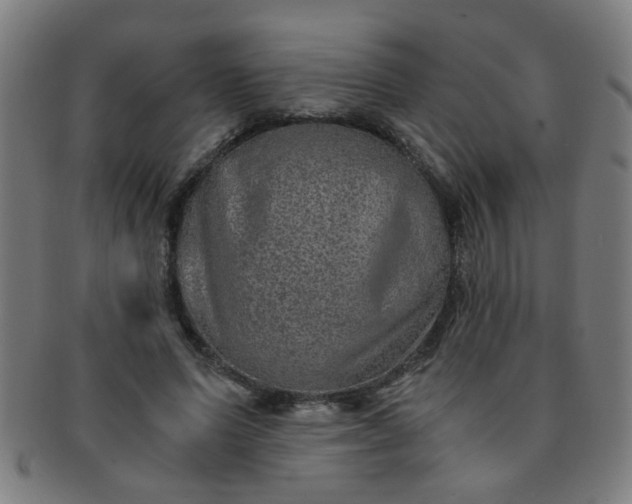 X0000091360591200708241312