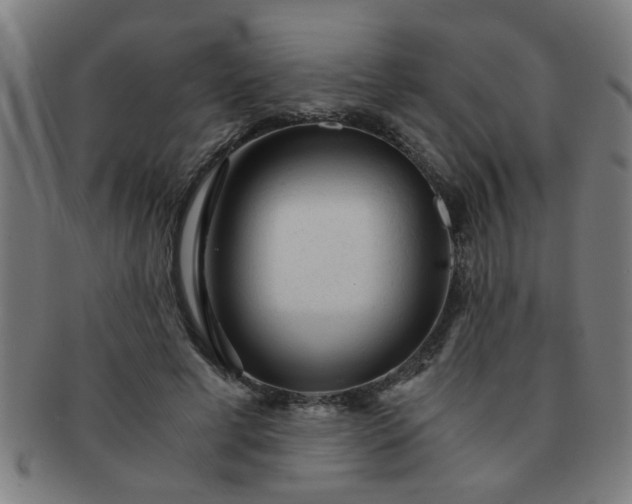 X0000091360593200708241312