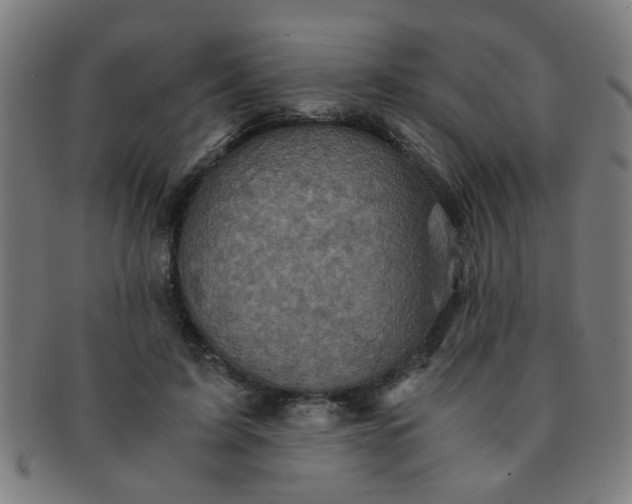 X0000091360595200708241312