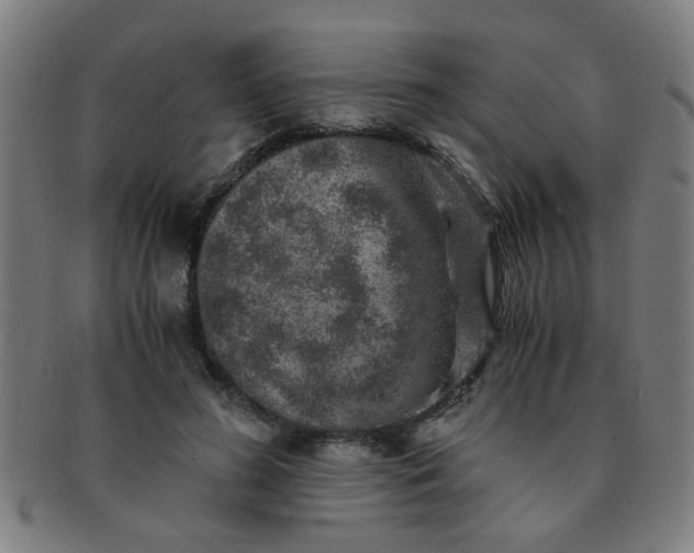 X0000091360596200708241312