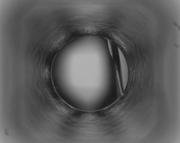 X0000091360597200708241312
