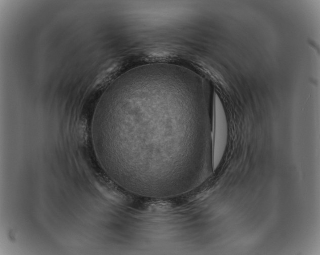 X0000091360599200708241312