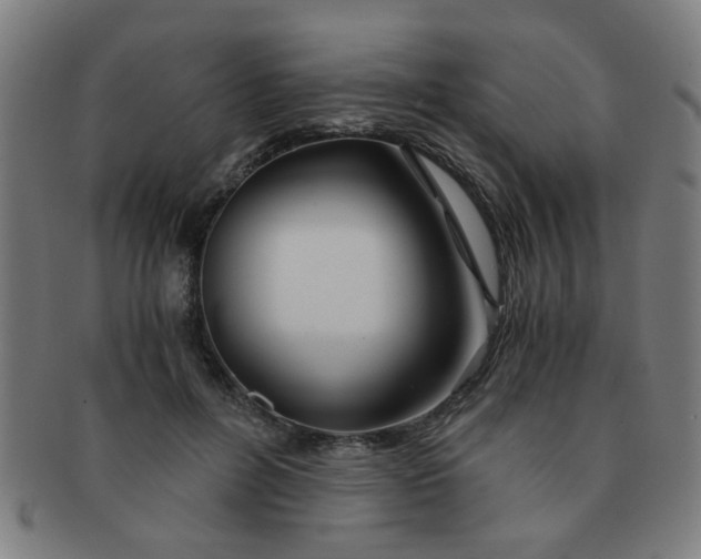 X0000091360600200708241312