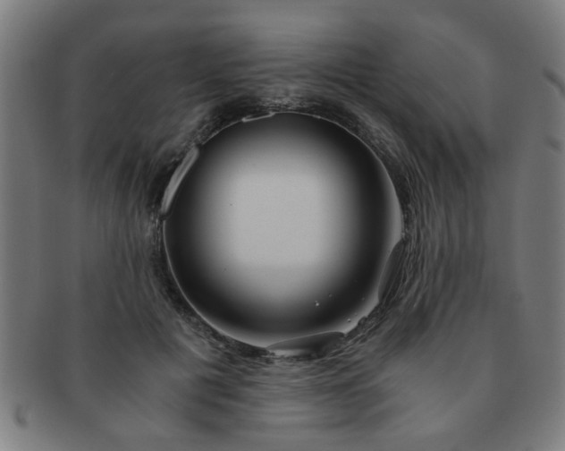X0000091360601200708241312