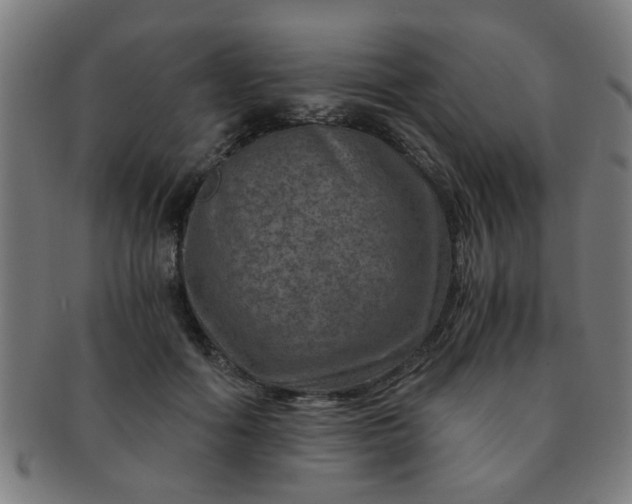 X0000091360602200708241312