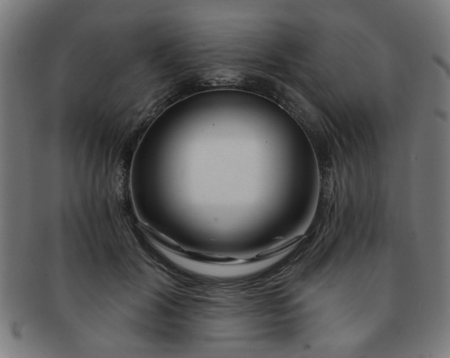 X0000091360604200708241312