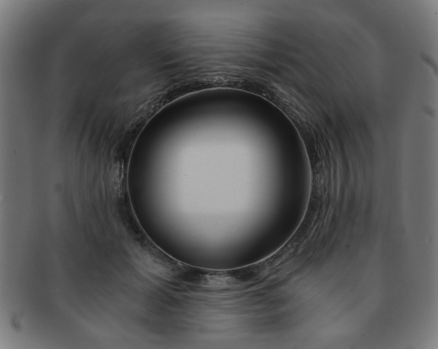 X0000091360605200708241312