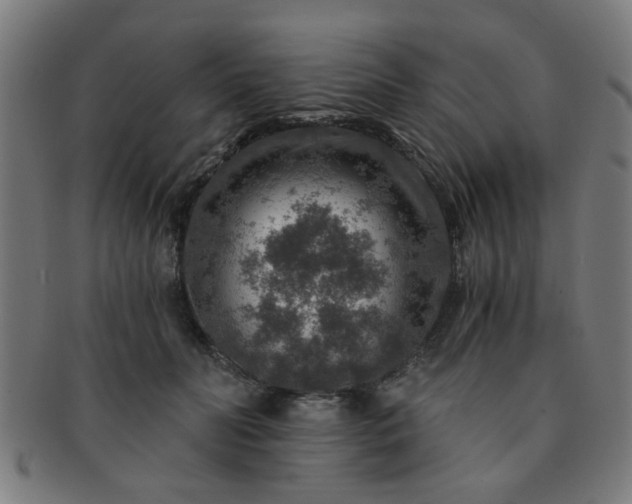 X0000091360606200708241312