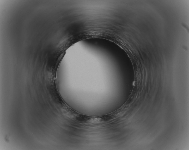 X0000091360609200708241312