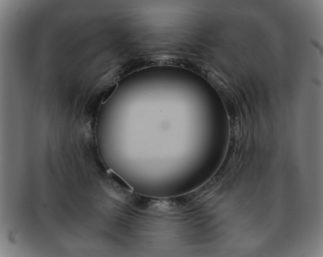 X0000091360611200708241312