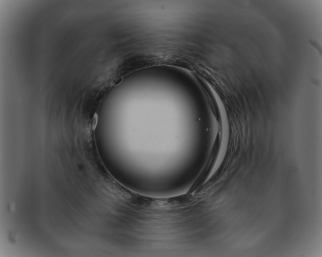 X0000091360613200708241312