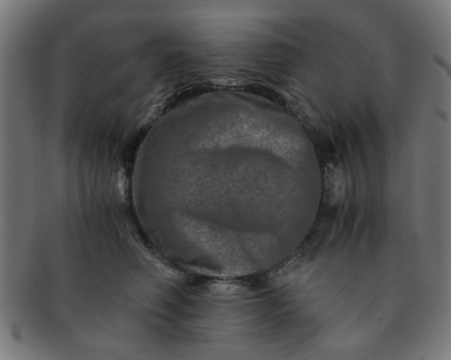X0000091360614200708241312
