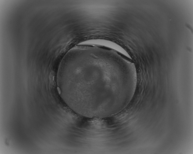 X0000091360615200708241312