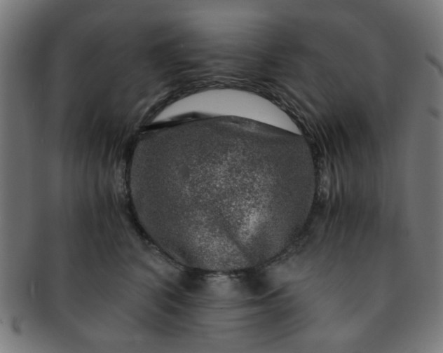 X0000091360616200708241312
