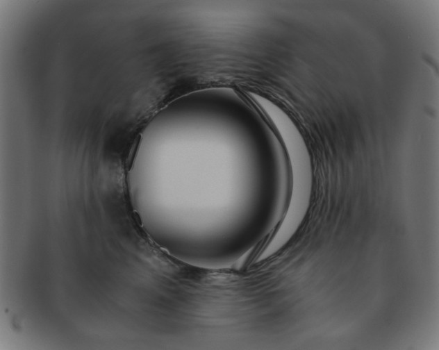 X0000091360617200708241312