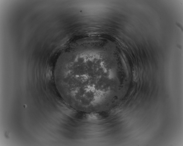 X0000091360618200708241312