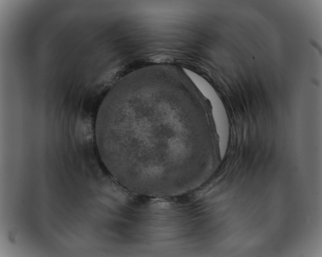 X0000091360620200708241312