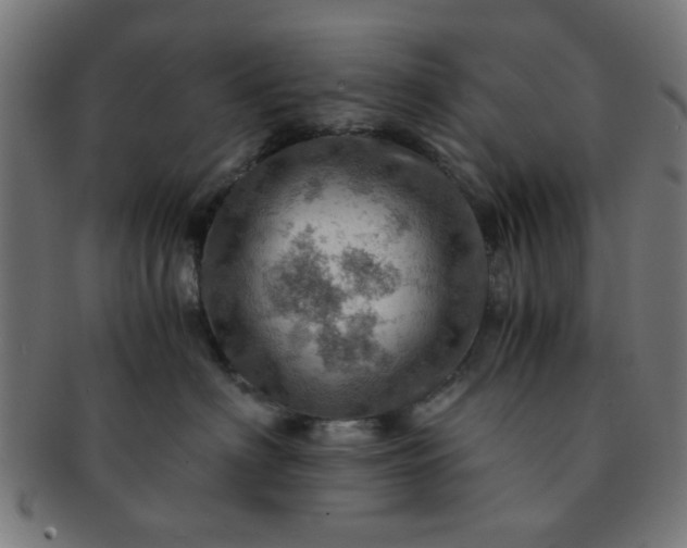X0000091360622200708241312