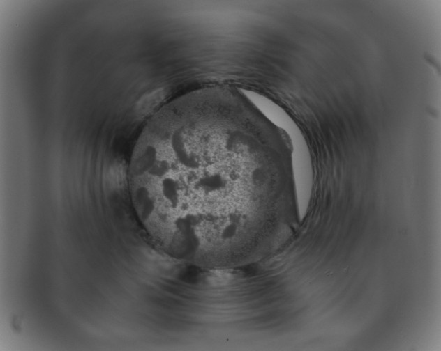X0000091360623200708241312
