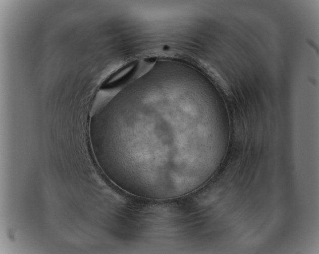 X0000091360625200708241311