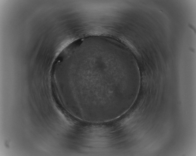 X0000091360626200708241311